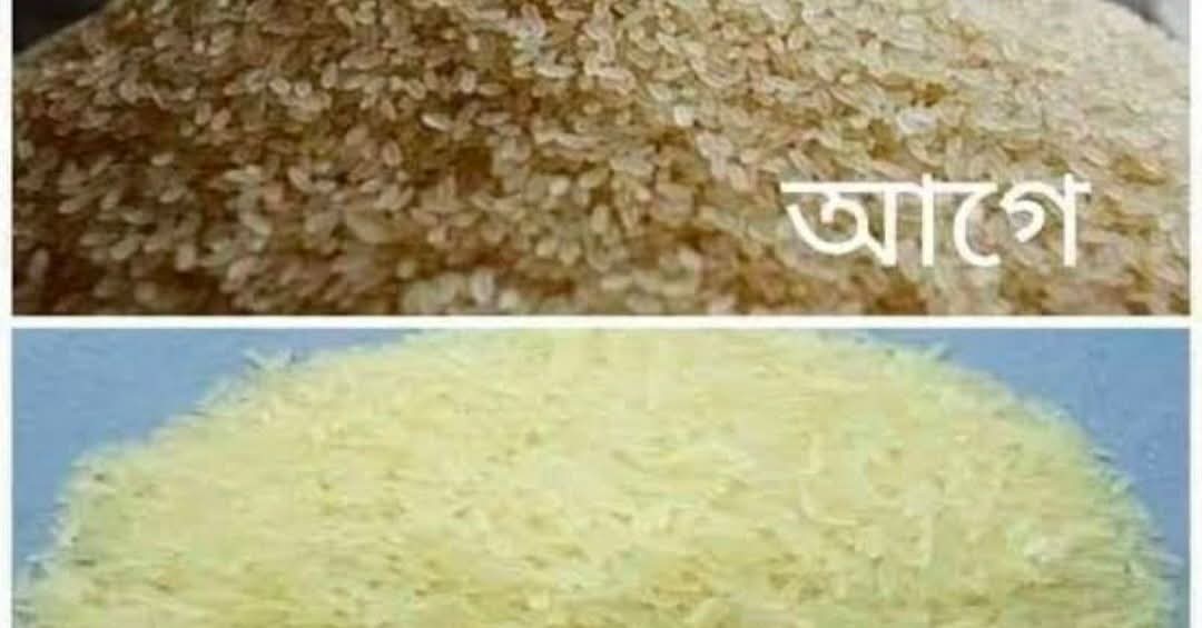 মিনিকেট চাল